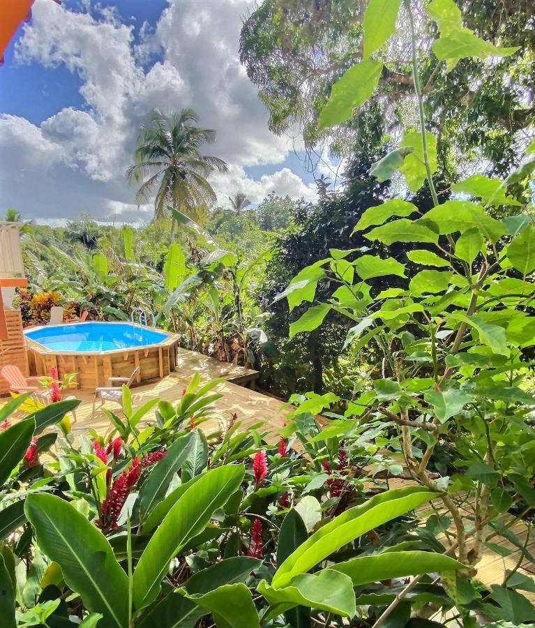 Ti Bambou Nature Sainte-Anne (Grande-Terre) Exterior foto